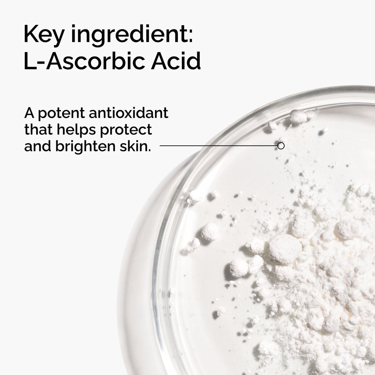 100-l-ascorbic-acid-powder-b8 FY25-D41247-ORD-Web-PDP-100-LAscb-Pwd-1x1-EN-2a.jpg
