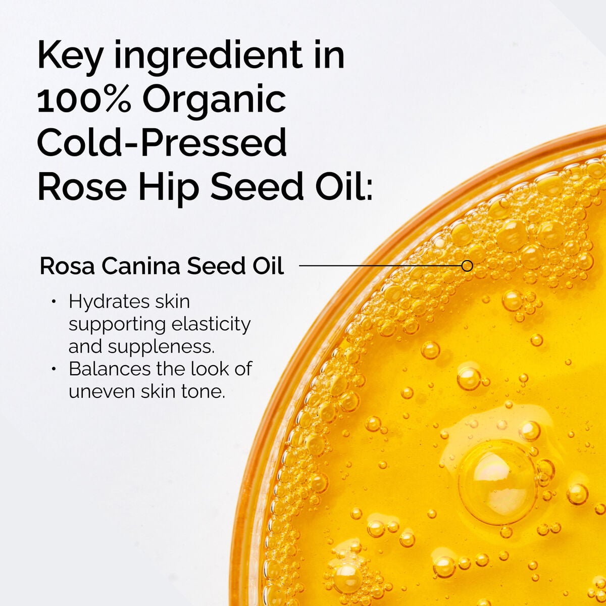 100-organic-cold-pressed-rose-hip-seed-oil-b6 FY25-D41247-ORD-Web-PDP-100-Rose-Hip-Oil-1x1-EN-2.jpg