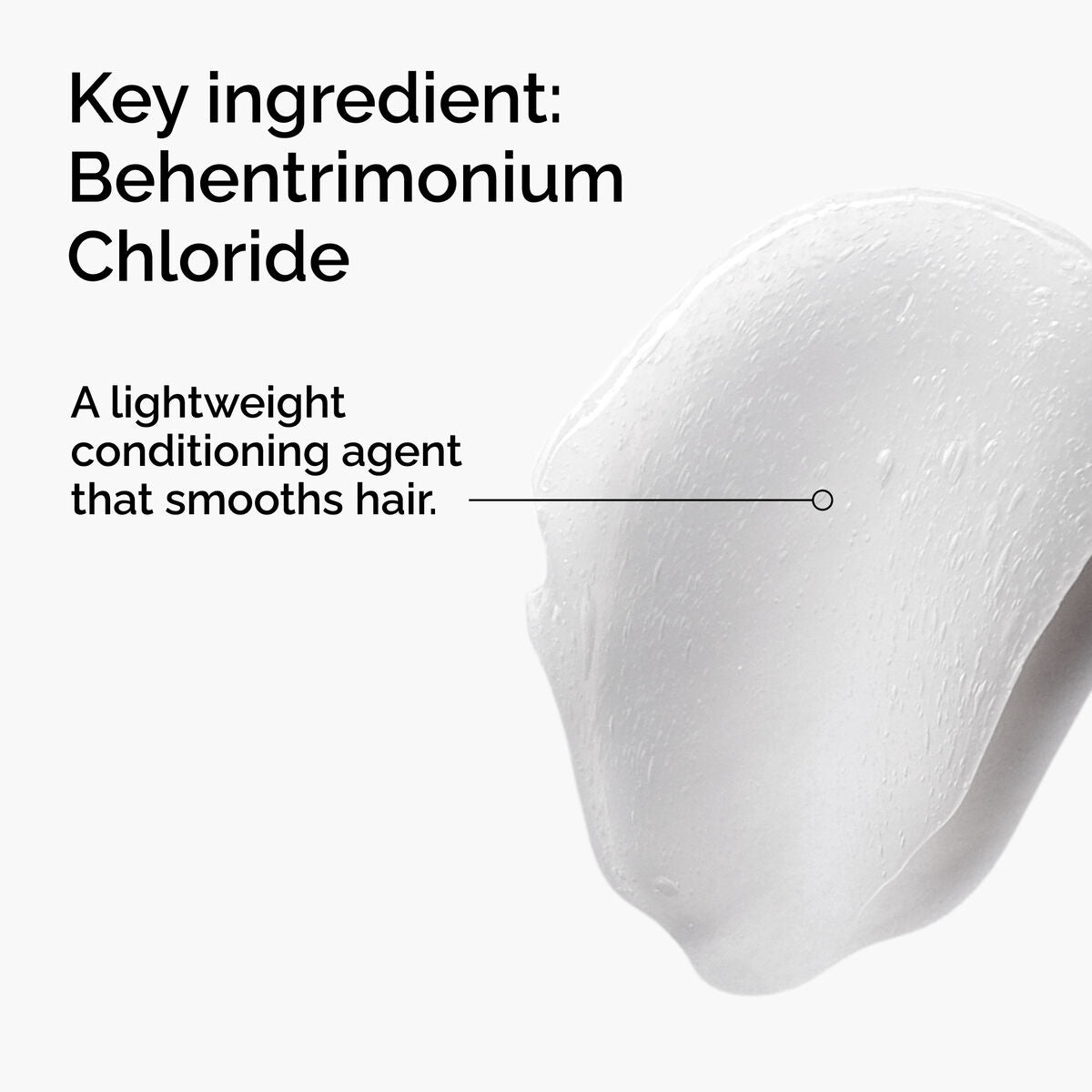 behentrimonium-chloride-2-conditioner-s3 FY25-D41247-ORD-Web-PDP-BTC-1x1-EN-2a.jpg