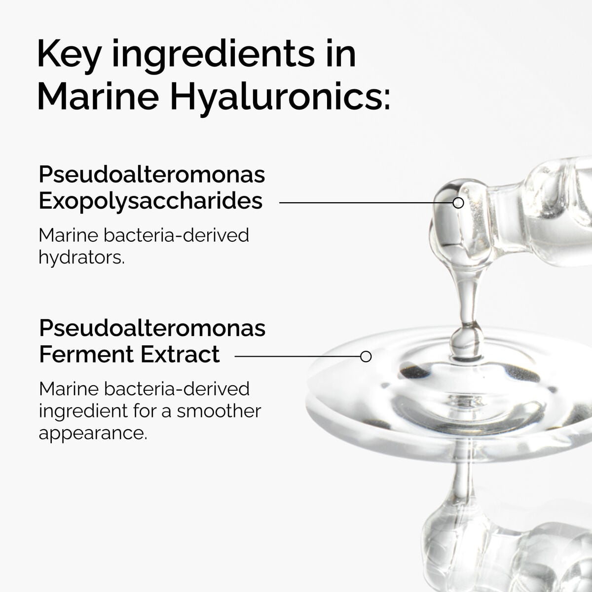 marine-hyaluronics-x5 FY25-D41247-ORD-Web-PDP-Marine-Hya-1x1-EN-2a.jpg