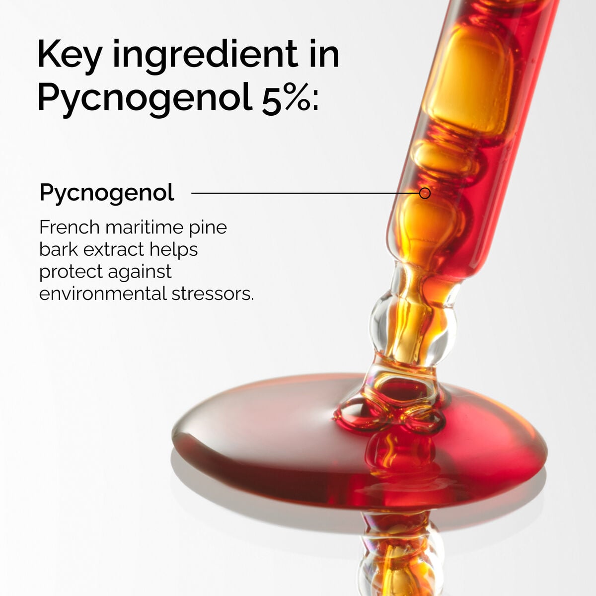 pycnogenol-5-w1 FY25-D41247-ORD-Web-PDP-Pyc-5pct-1x1-EN-2a.jpg