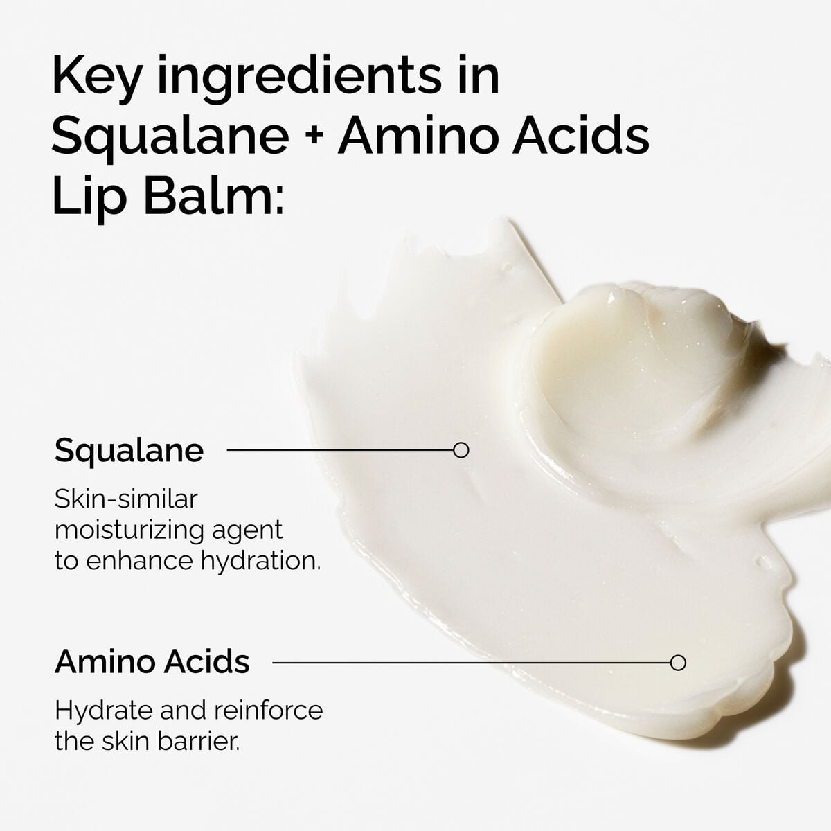 squalane-amino-acids-lip-balm-w5 FY25-D41247-ORD-Web-PDP-Sql-Amino-Lip-1x1-EN-2a.jpg