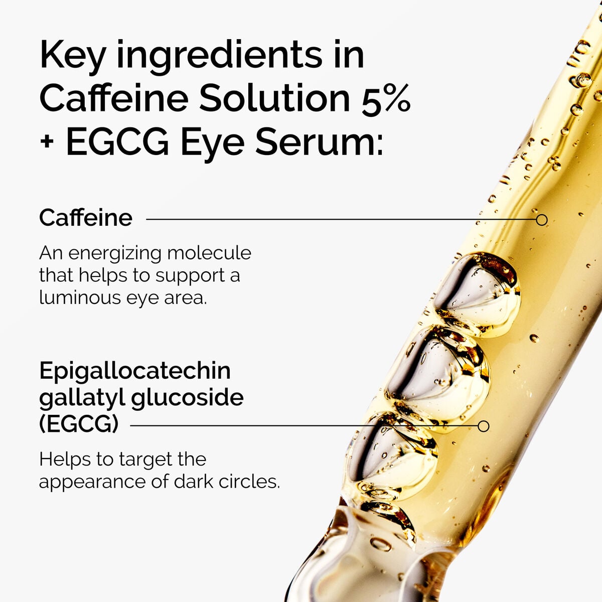 caffeine-solution-5-egcg-eye-serum-o8 ord-caffeine-5pct-egcg-eye-serum-key-ingredients-updated-graphic.jpg